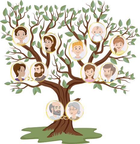 Constelaciones Familiares